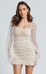 Margaux Mini Dress - Mesh Spot Ruched Mini Dress in White Spot