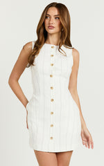 Neri Mini Dress - High Neck Button Through Stripe Dress in White Stripe